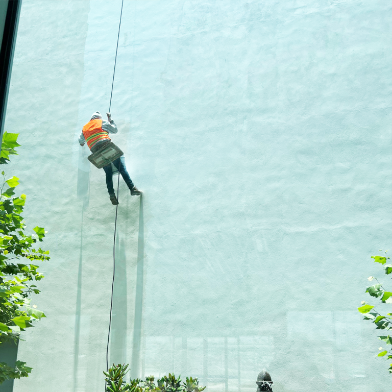 JARDIN-CENTRAL-HENGLI